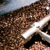 kaffebönor
