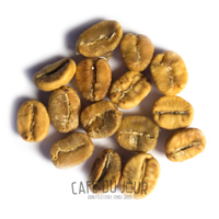 Kaffebönor i den gula fasen